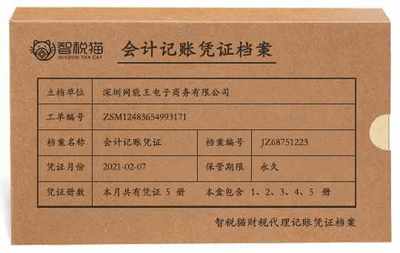 公司代為記賬服務(wù)案例 深圳網(wǎng)能王電子商務(wù)針紡織品銷(xiāo)售代理記賬分析